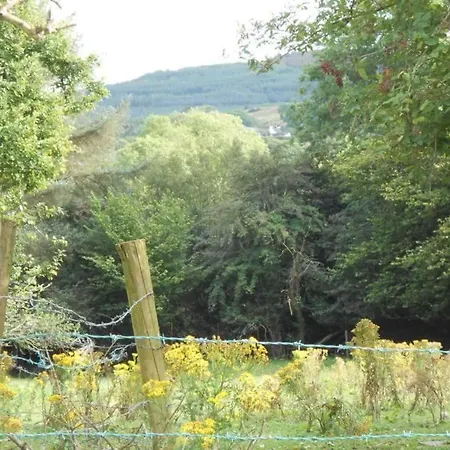 Old Farmhouse Broadford (Clare)